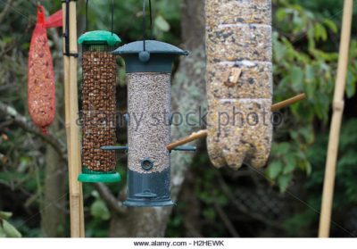 a selection of bird feeders