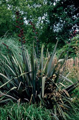 Architectural Planting