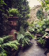  A Shady courtyard garden