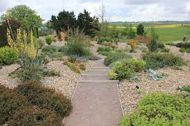  A gravel Garden