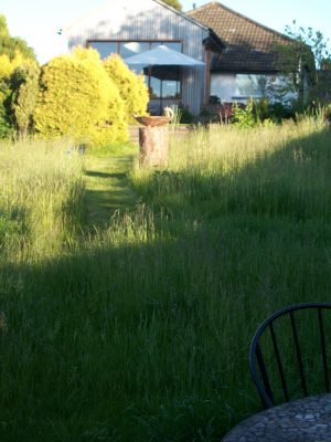  An informal garden, views back to the house from the long grass meadow.