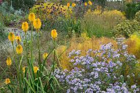  Prairie planting