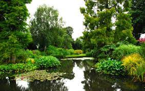 A large pond with native planting