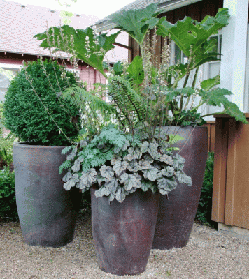  container gardening