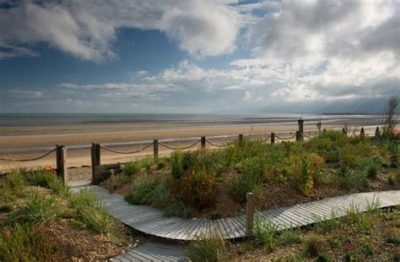 dramatic coastal planting