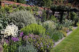  Mixed foliage of different colours can add colour interest, it's not all about flowers!