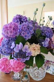  Stunning Hydrangeas, make great cut flowers