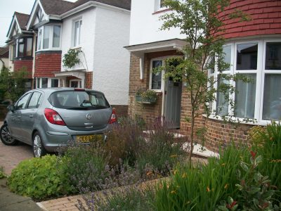 a front garden in Hove Sussex, that has good planting and a tree and a space for a car.