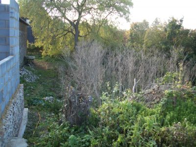 view from Brye of over grown pond