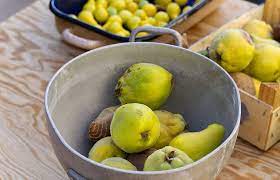  Pears and quinces, making it to the table