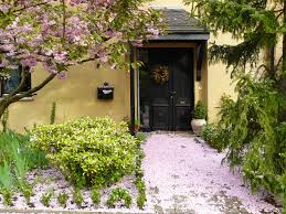  Small front garden