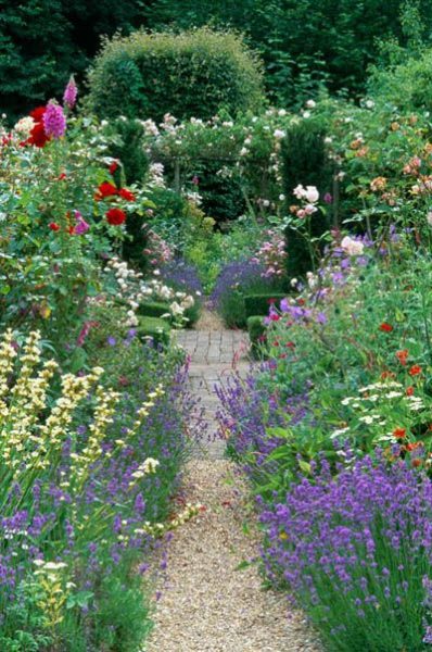 A boarder in full mid summer bloom.