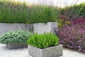  dramatic planted containers