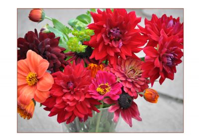 home grown garden flowers make a splash as flower arrangements.