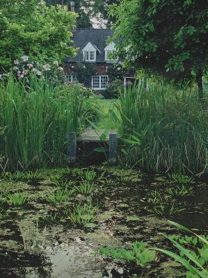  A wildlife Pond created by Arcadia Garden Design.