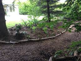 log edging in Woodland planting