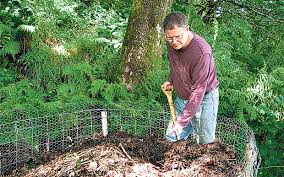 Digging out rotted leaf mould for use.