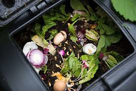 Putting food waste into a vermin prof compost bin