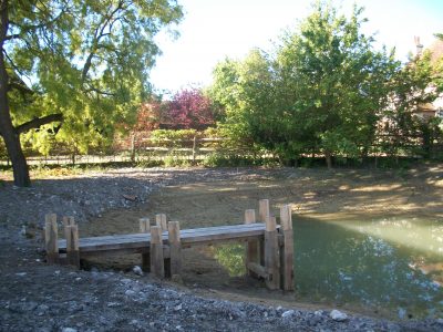  pond, with water level dropped ready for planting.