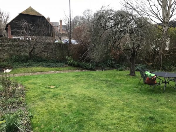 the garden before landscaping starts