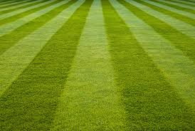  A traditional striped cut lawn