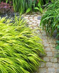  Planting flopping over the path edges.