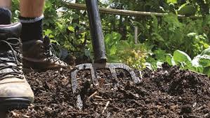  Digging compost into the ground