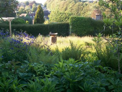 Planting beds by the house give way to the informal lower garden