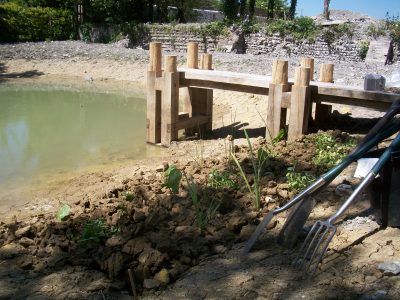 planting marginal aquatics