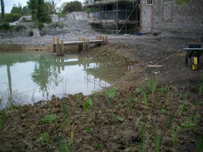  pond planting completed.