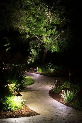 Lighting a path