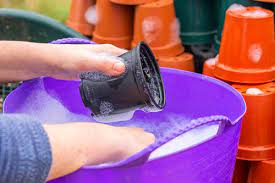 washing plant pots