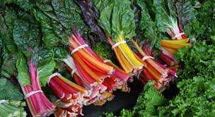  Rainbow chard cut & come again