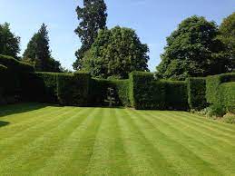  A beautiful striped lawn.