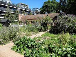  A potager garden