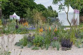  A very colourful gravel garden