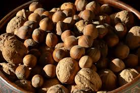  Autumn Nuts