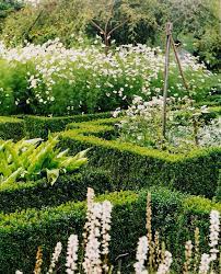  White and sliver planting