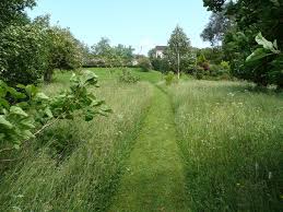  Mown paths through a meadow.