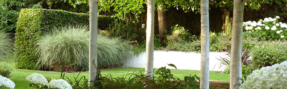 Arcadia Garden Design
