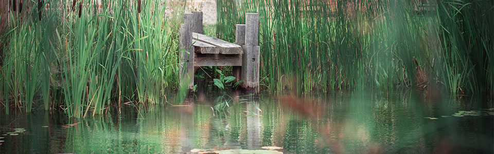 Arcadia Garden Design Water Feature