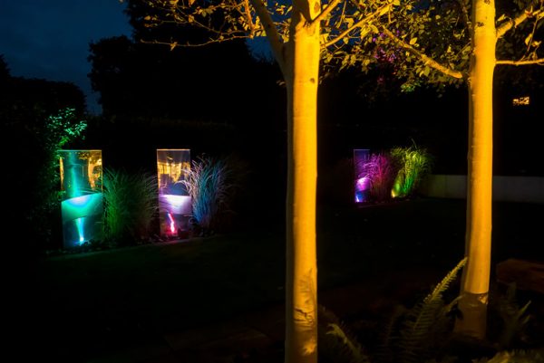 Garden at night