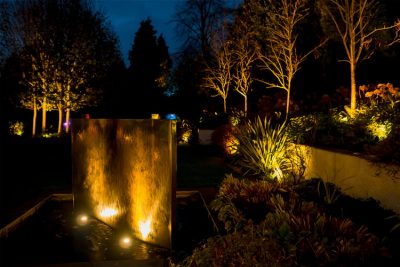 Garden sculptures at night