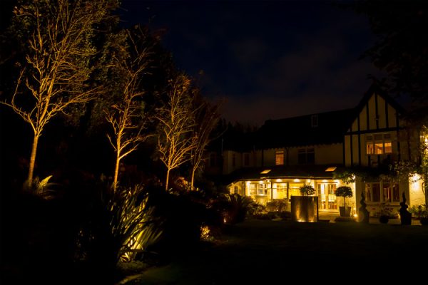 Garden at night