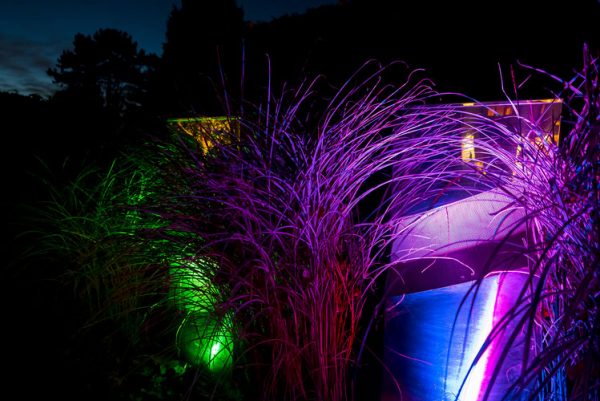 Garden at night