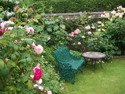 by Arcadia, A Cottage Rose garden