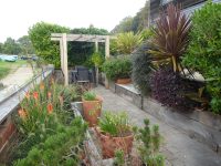 Views along the water front of the colourfull planting in the raised planter