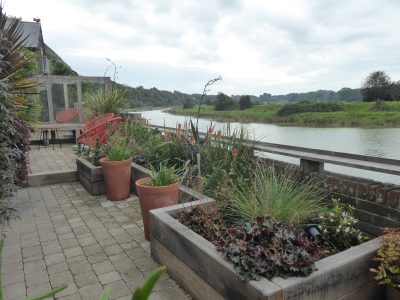 Riverside garden Lewes, E. Sussex