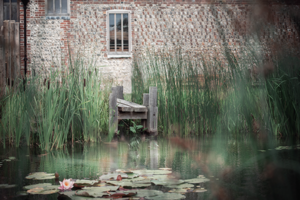 Restored farm pond, near Alfriston in East Sussex
