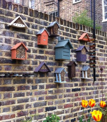 a group of 'Bug Hotels'